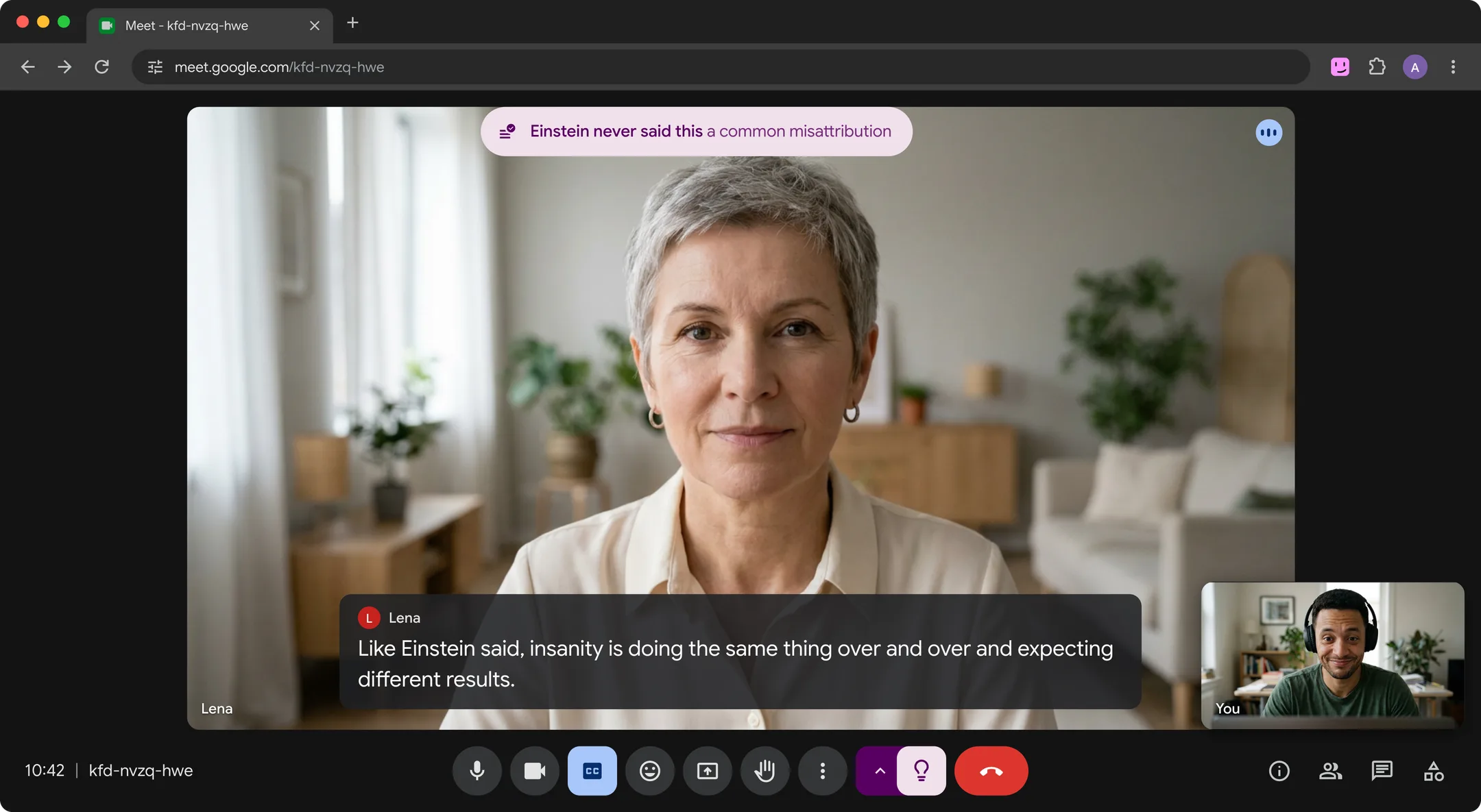 A Google Meet call where Lena credits Einstein with the insanity quote and a Hintly fact check card reads: Einstein never said this, a common misattribution
